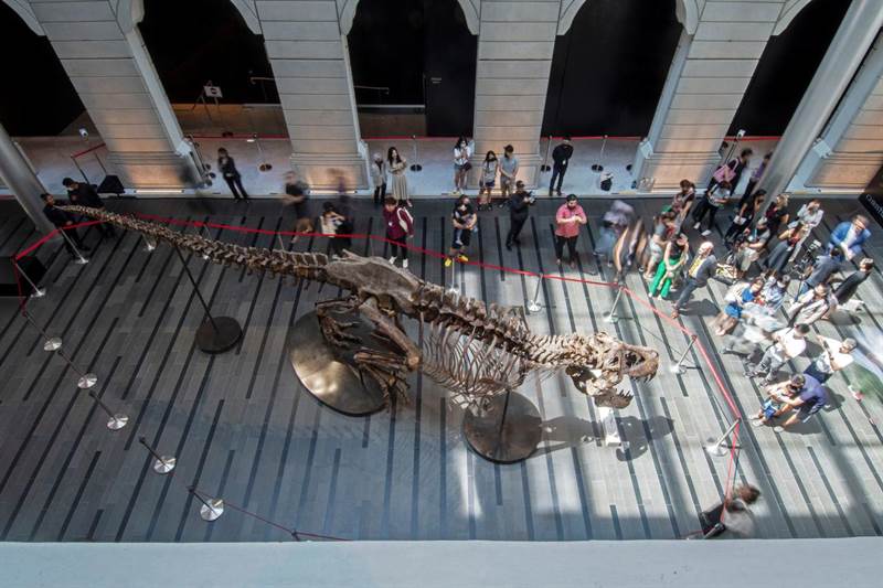 Christie’s был вынужден отменить аукцион по продаже скелета тираннозавра